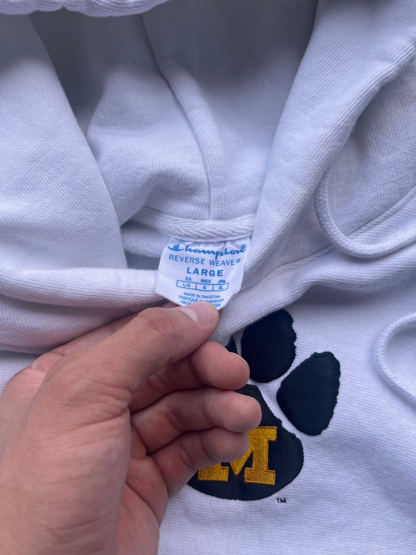 Modern Missouri Hoodie - Youth Large